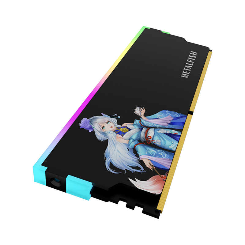 METALFISH DRAM Dissipatore di  - Ddr5 Ram recensione e prezzo